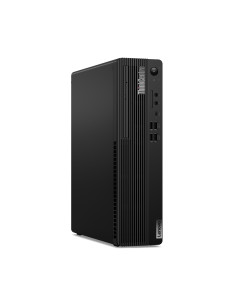 Lenovo ThinkCentre M70S SFF i5-10ª Gen - SSD 256  GB -... 2